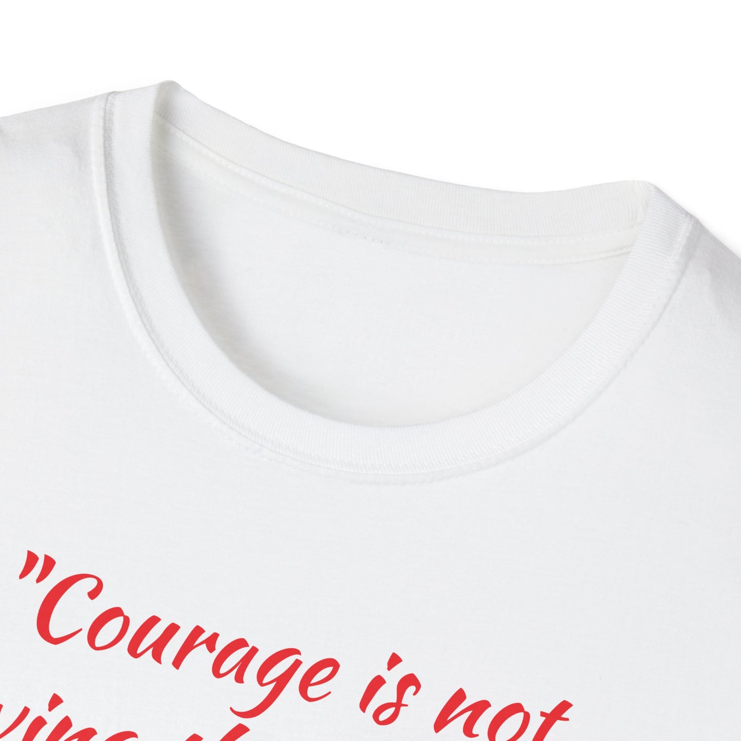 Theodore Roosevelt Quote 4