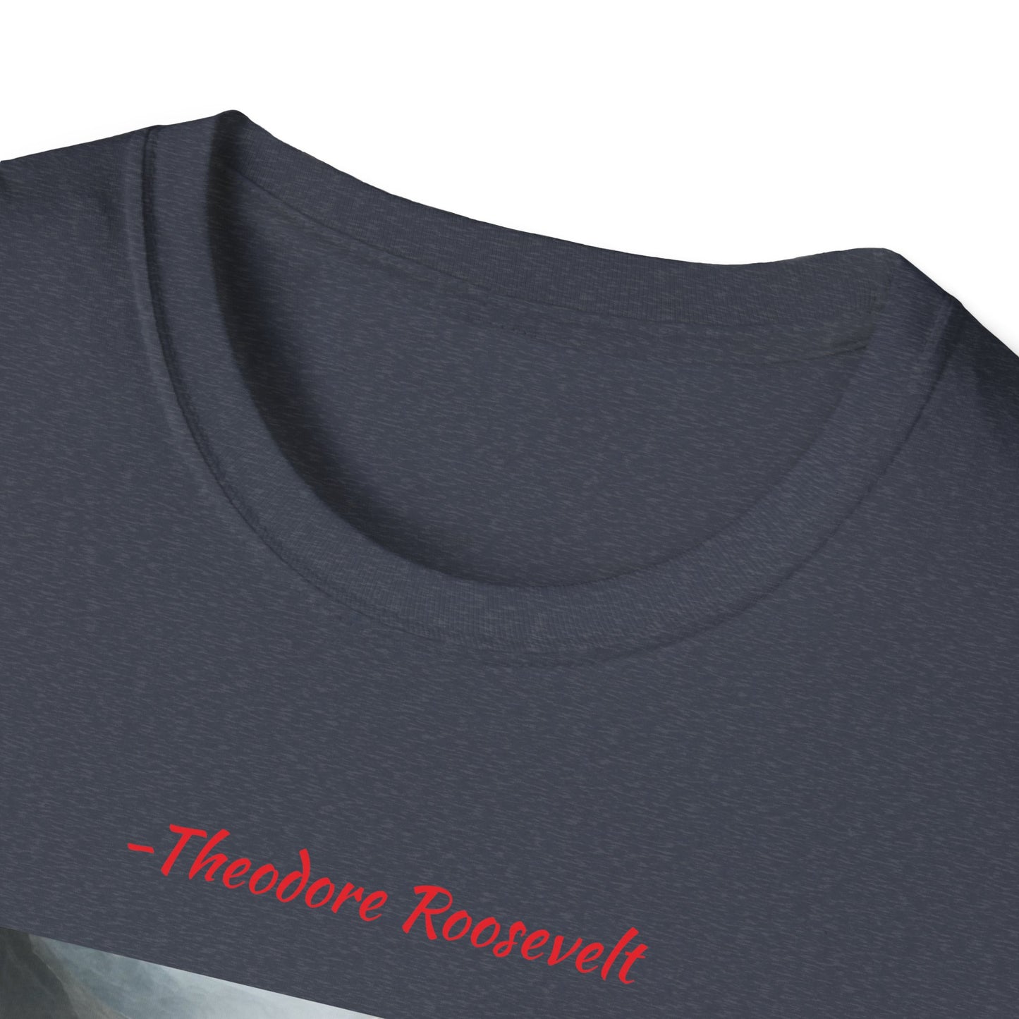 Theodore Roosevelt Quote 5