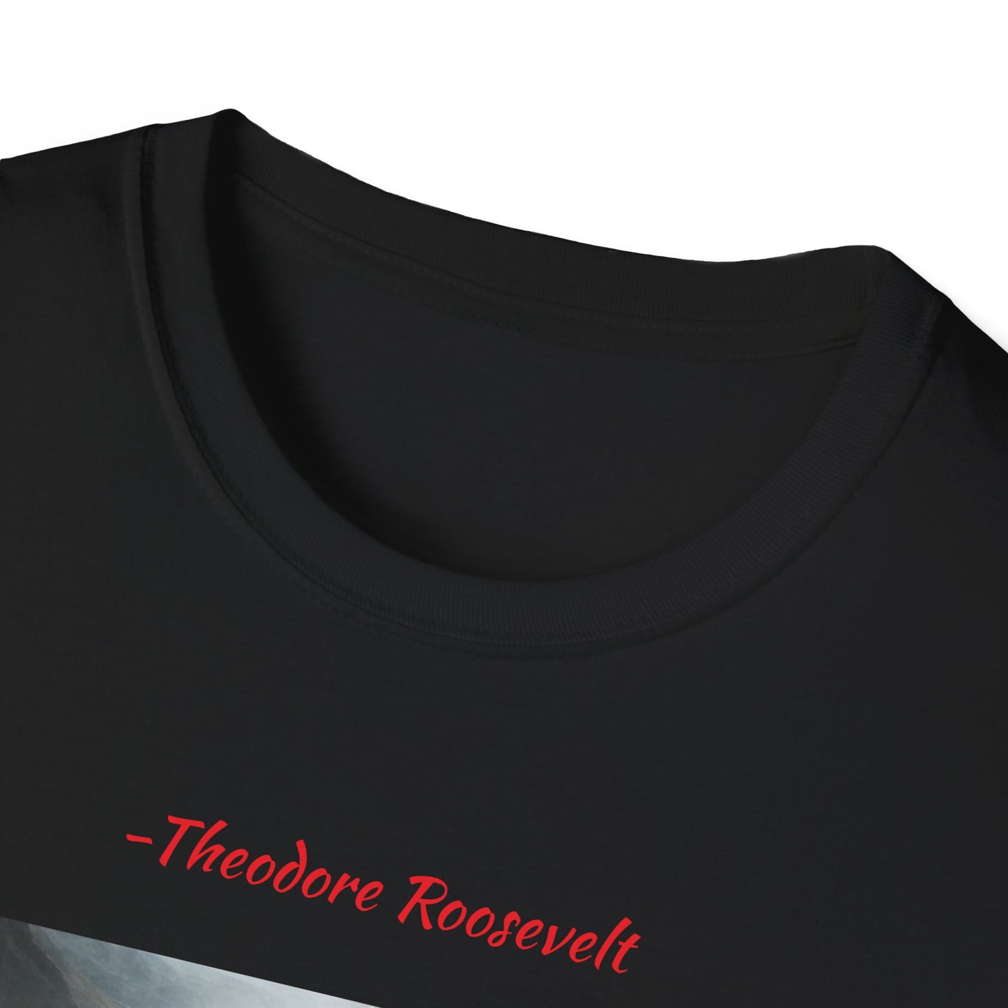 Theodore Roosevelt Quote 5