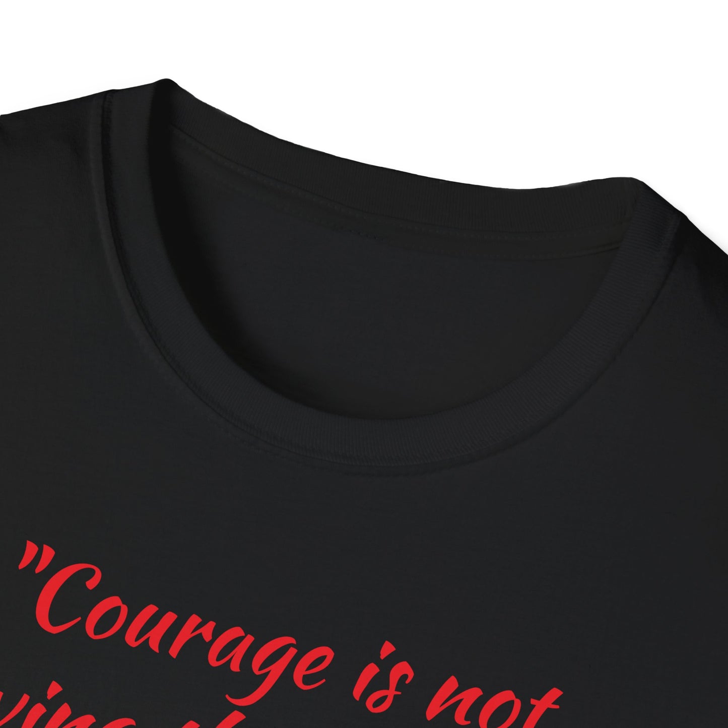 Theodore Roosevelt Quote 4