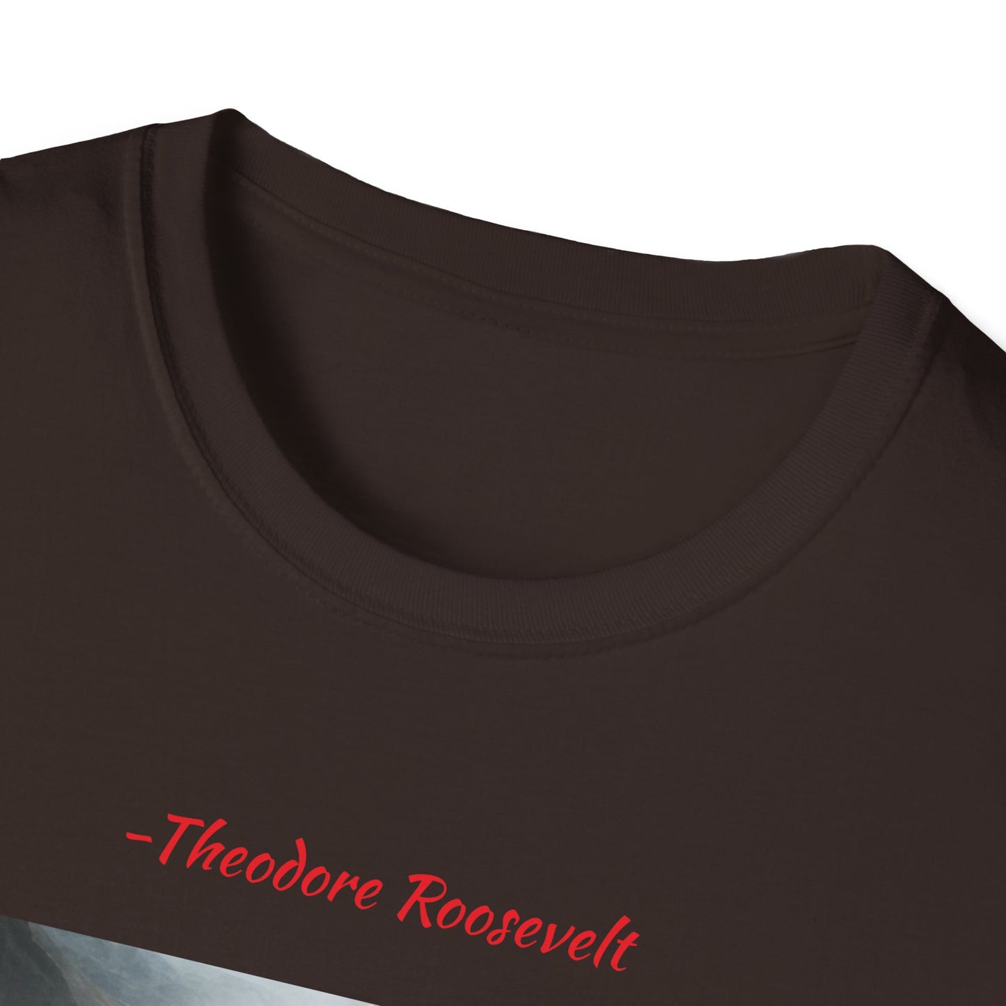 Theodore Roosevelt Quote 5